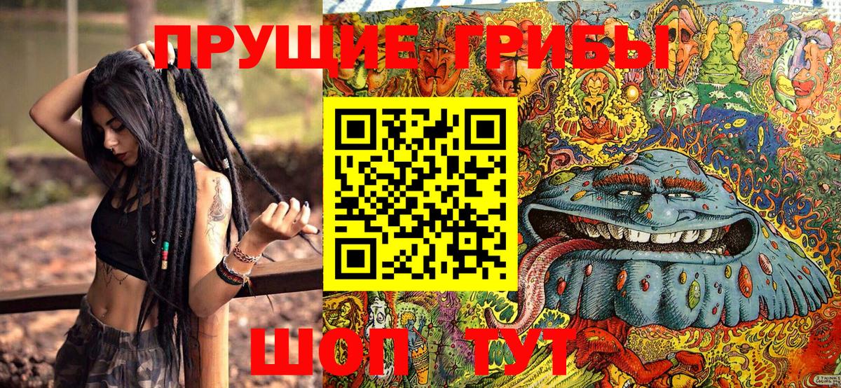 Галлюциногенные грибы GOLDEN TEACHER Минусинск